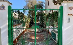 Il giardino del Falso Pepe